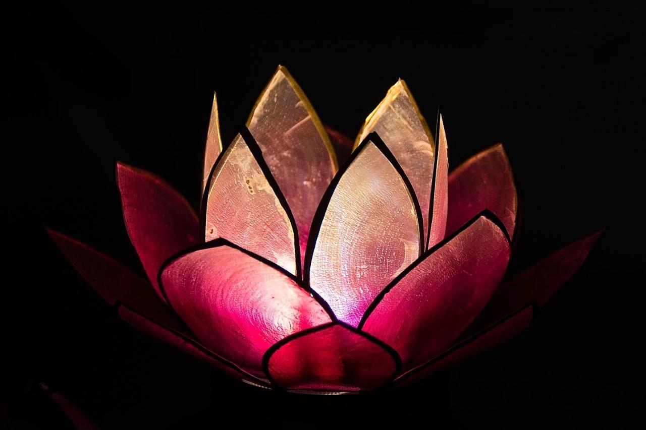 Pink Lotus Apartment Βιέννη Εξωτερικό φωτογραφία